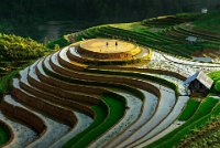 416 - TERRACES IN MU CANG CHAI 10 - BUI MAI THIEN - viet nam